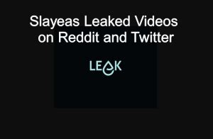 slayeas leaked|Lea Martinez 1,939 Leaked Files